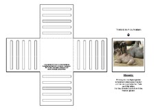 Lapbook-Minibuch-Faltform-Kamel-1-5.pdf